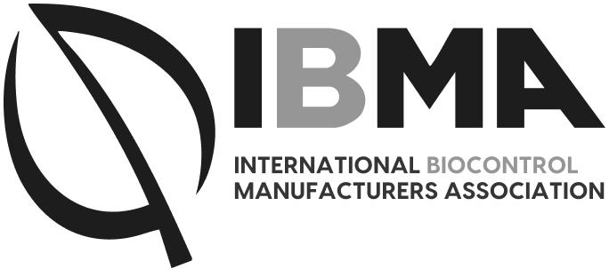 IBMA
