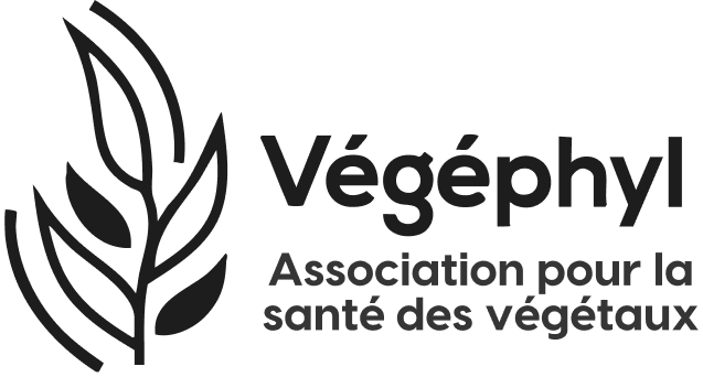 Végéphyl